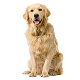 CHOVATE�SK� POTREBY